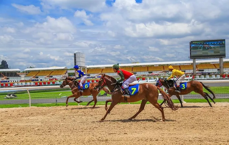 Giải Mã Sức Hút Cá Cược Đua Ngựa 123Win Cho Người Mới 2 Giải Mã Sức Hút Cá Cược Đua Ngựa 123Win Cho Người Mới