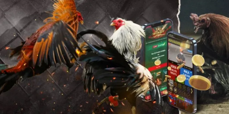 Bí Kíp Chơi Đá Gà GA28 Tại 123Win Từ A Đến Z Cho Người Mới 2 Bí Kíp Chơi Đá Gà GA28 Tại 123Win Từ A Đến Z Cho Người Mới